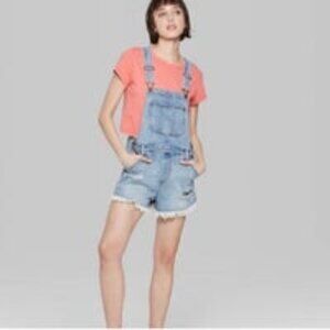 Wild Fable Distressed Short Jean Overalls